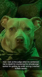 Meet your Posher, Scarface